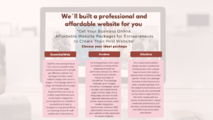 Websites packages for entrepreneurs