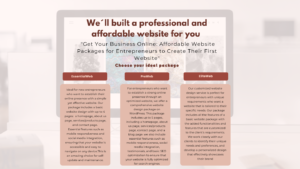 Websites packages for entrepreneurs affordables